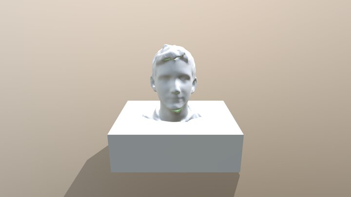 Betterbustmodel- Model 3D Model