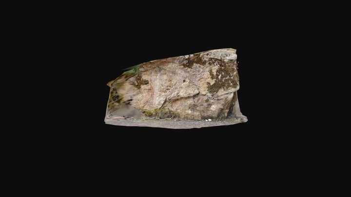 Textured_mesh_1 3D Model