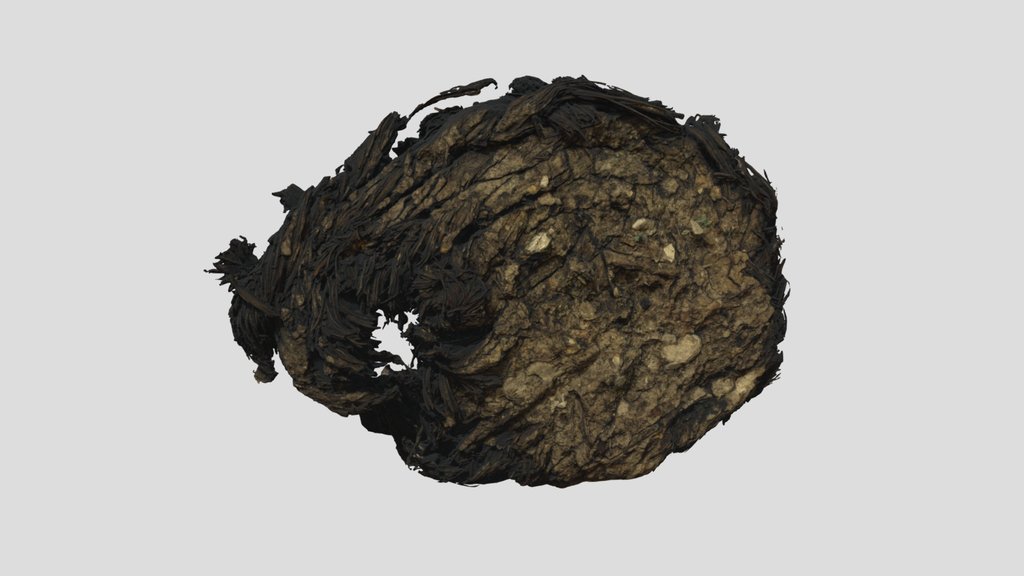 Suela 8_Frag nº1: A_DJ_2022_04_012518_310_1489