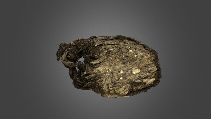 Suela 8_Frag nº1: A_DJ_2022_04_012518_310_1489 – Modello 3D gratuito STL