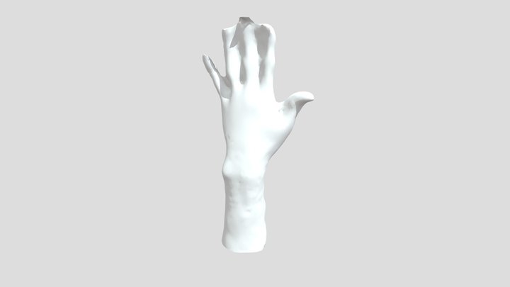 Hand Scan 3D Model