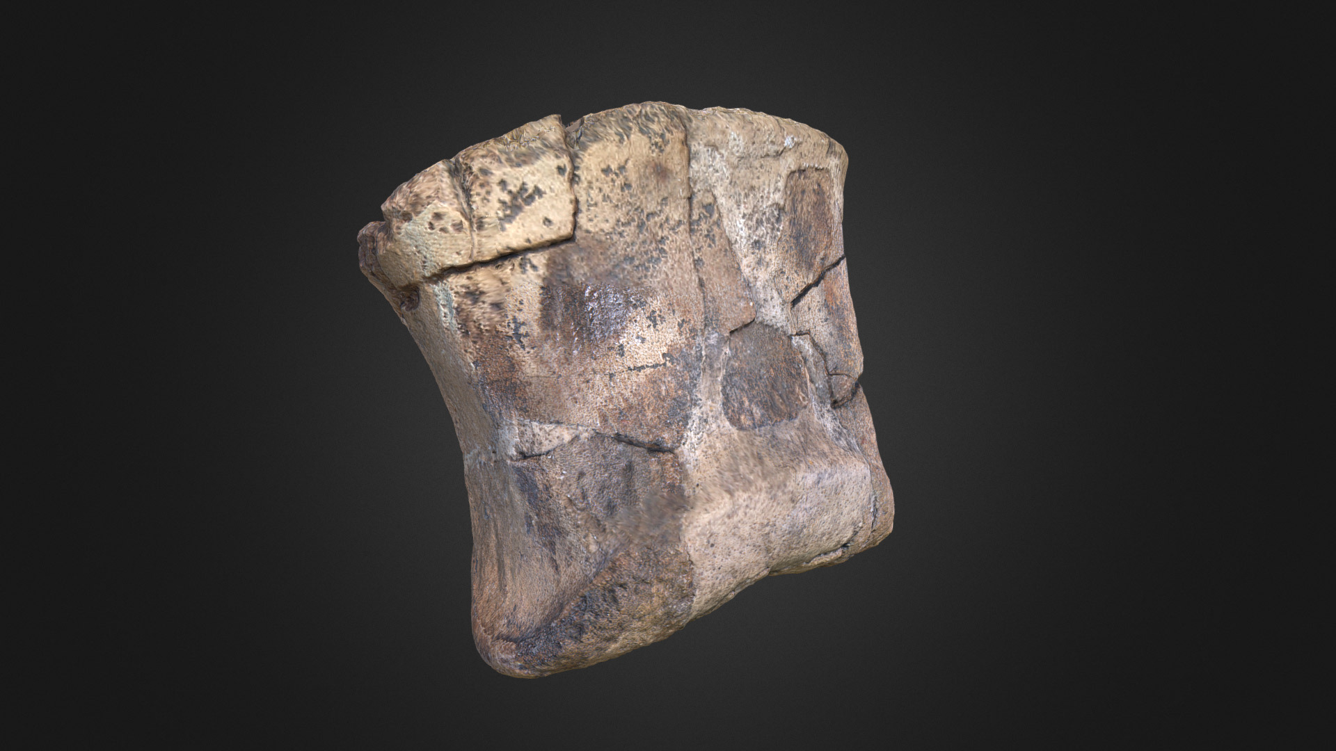 3D model Edmontosaurus Toe Bone - This is a 3D model of the Edmontosaurus Toe Bone. The 3D model is about a stone with a face carved into it.