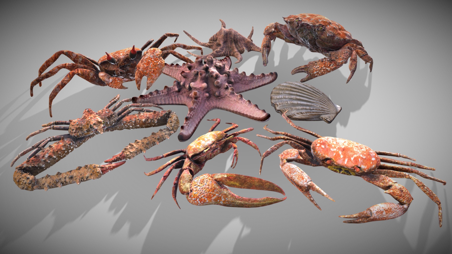 3D model Composition Shellfish - This is a 3D model of the Composition Shellfish. The 3D model is about a group of insects.