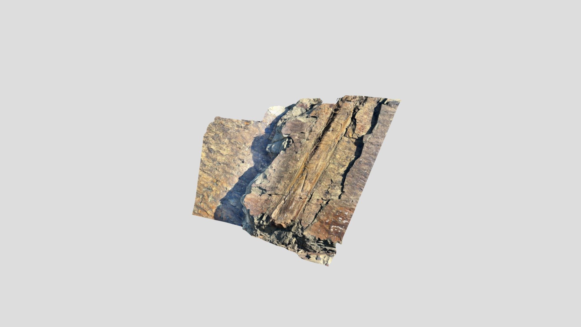 LB Fossil Tree in ripples