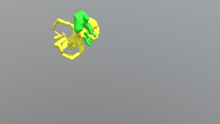 Woo DH 3D Model