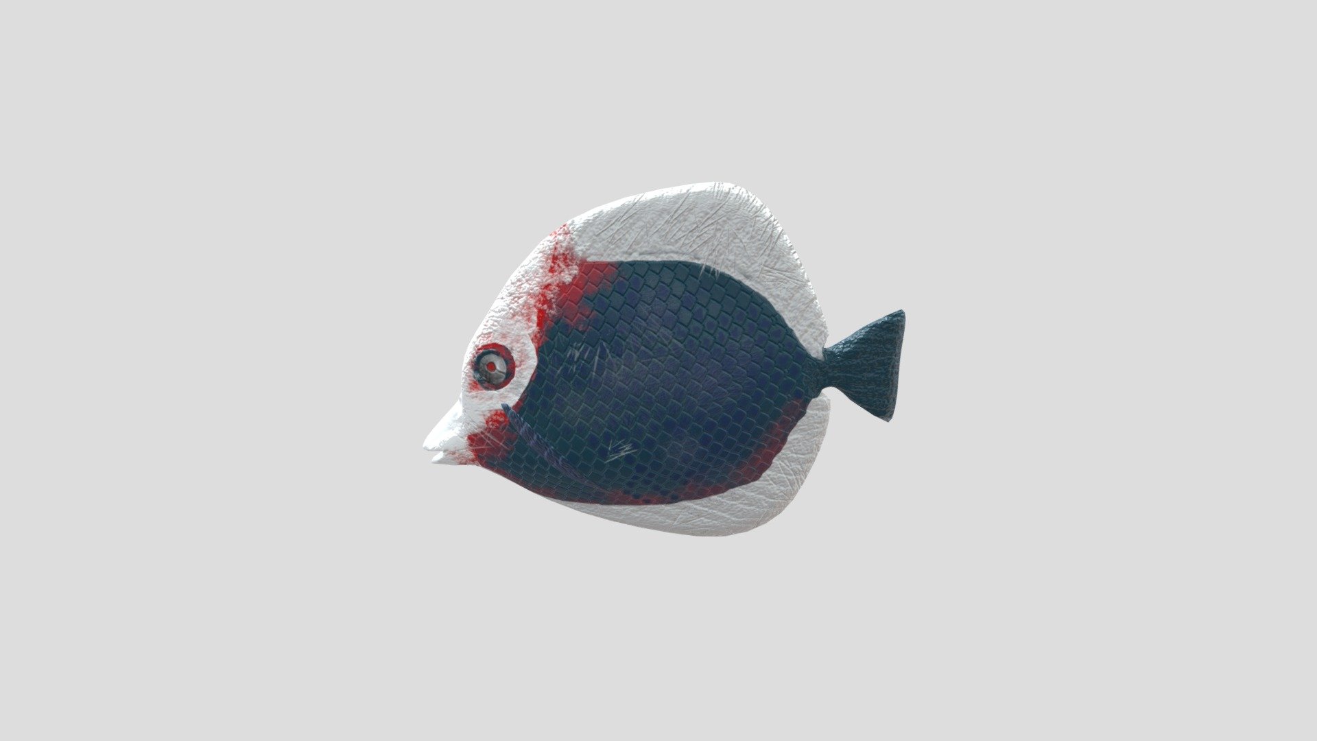 nelsonFISH
