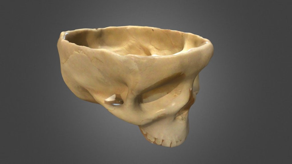 skull