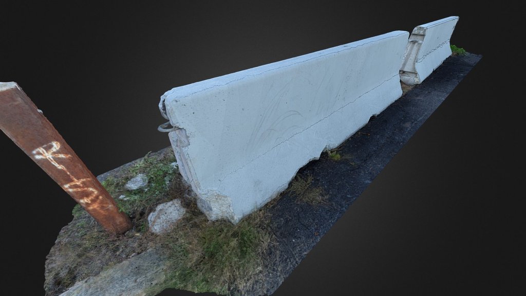 Parking Blockers - 3D Scan