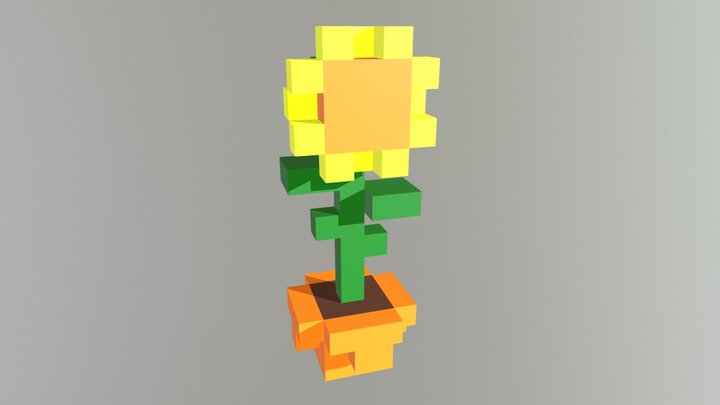 SSFP 3D Model