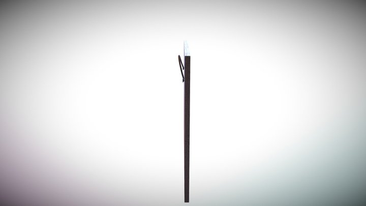 Picture 3D Model