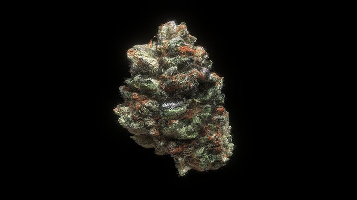 Moon Nonkey nug 3D Model