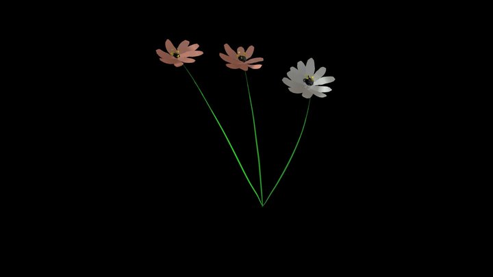 "Flowers in darkness" 3D Model