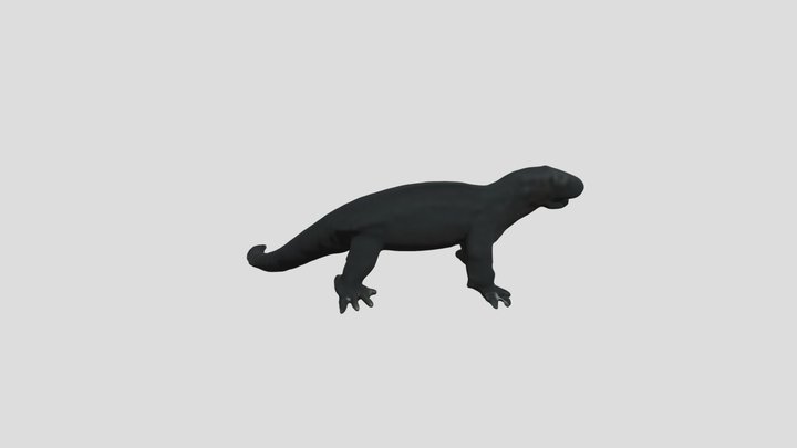 dfefcf4d923d_ea20d0a146c9_KOMODO__3d_asset_0_ 3D Model