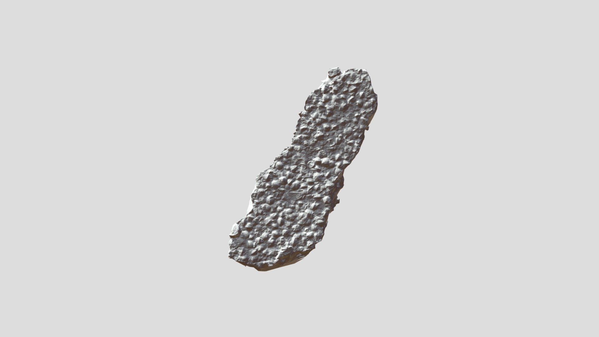 Brachiopods