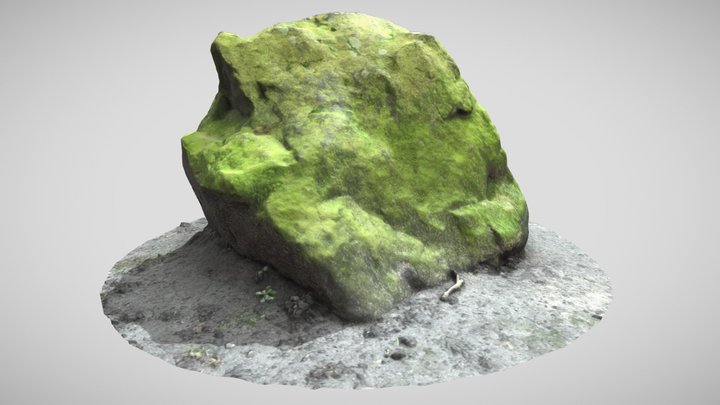 Mossy Rock scan 1 – Modello 3D gratuito STL
