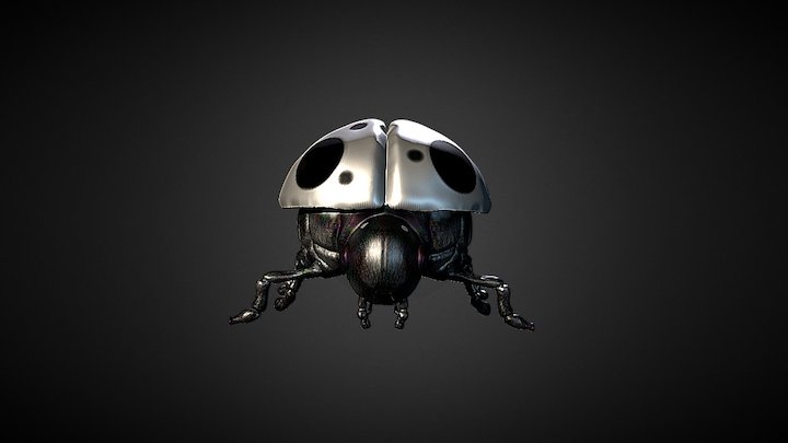 Ladybug 3D Model