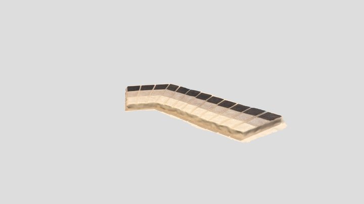 3d Scan 3D Model