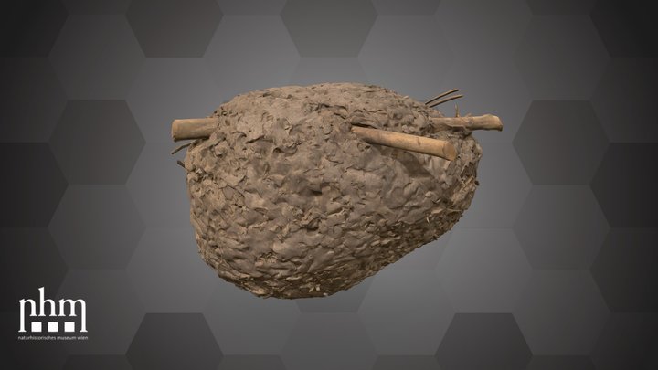 Nest of ants (NHMW-HYM-0031680) – Gratis 3D-model STL
