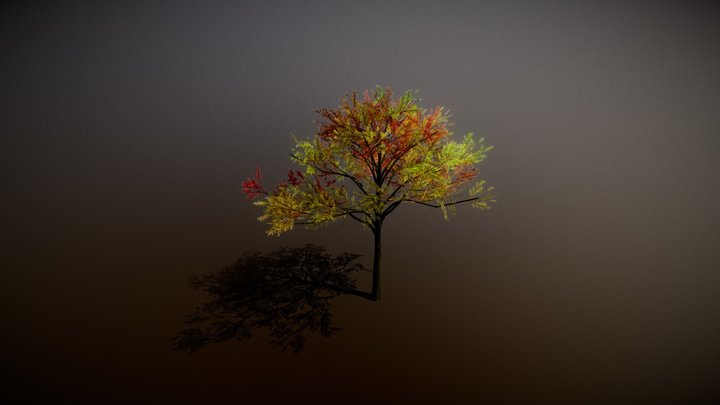Acacia ( From "Tree It") – Kostenloses 3D-Modell STL