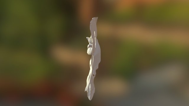 Mushka's Favorite Toy 3D Model