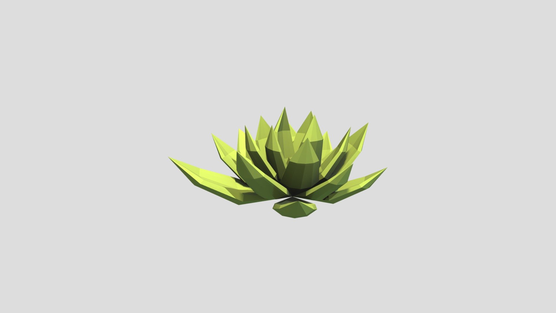 Plant