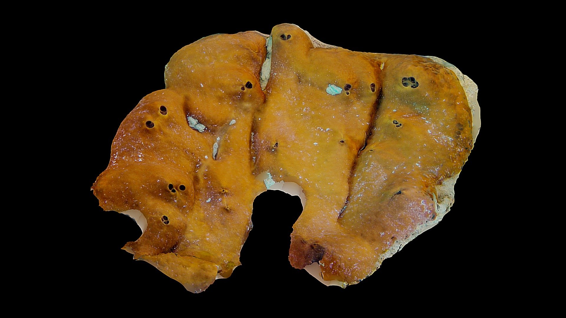 #32: Plakortis spp.