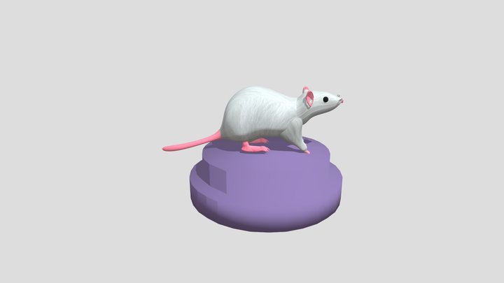 Крысёнок / RAT 3D Model