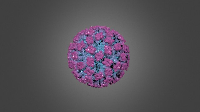 Feline calicivirus - radially depth cued 3D Model