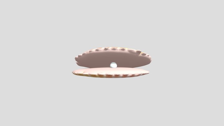 Shell / Kerang 3D Model