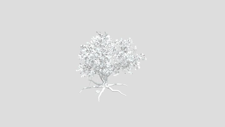cabane and arbre 3D Model
