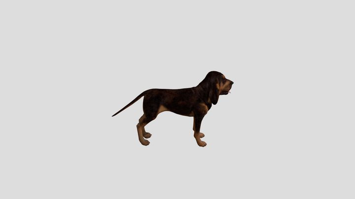 Bloodhund from COTW game (ears has animglitch). 3D Model