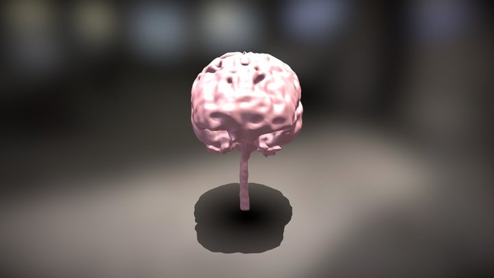 Brain Segmentation 3D Model