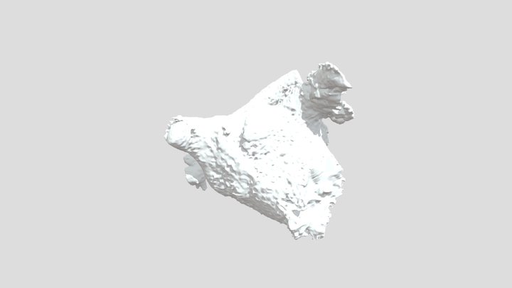 CT_LA_KUS 3D Model
