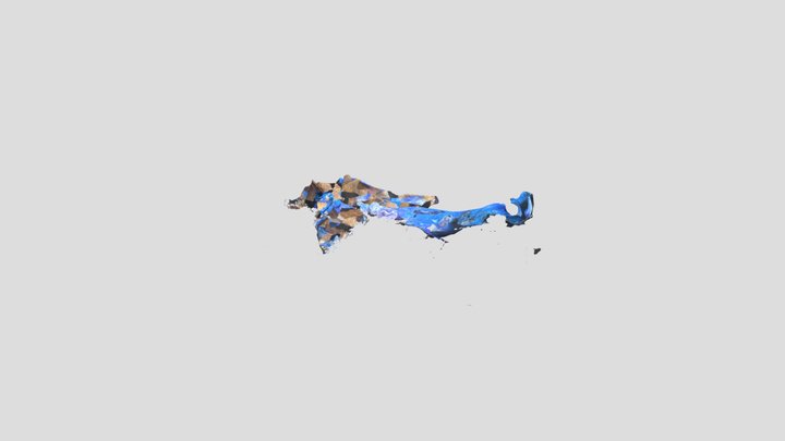 modelo 3 y 4 ventrículo de cerebro bobino – Free 3D Model STL