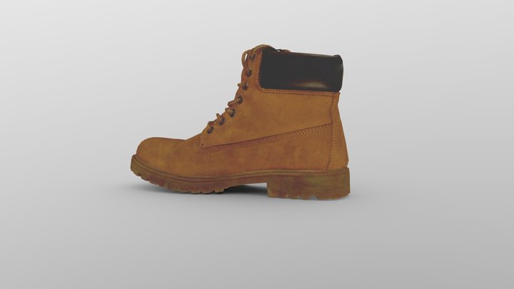 Fast Quality Boot Scan 3D Model