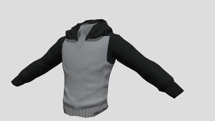 Hoodie 3D Rendition 3D Model