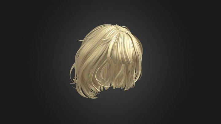 Beautiful Hair 1 3D Model