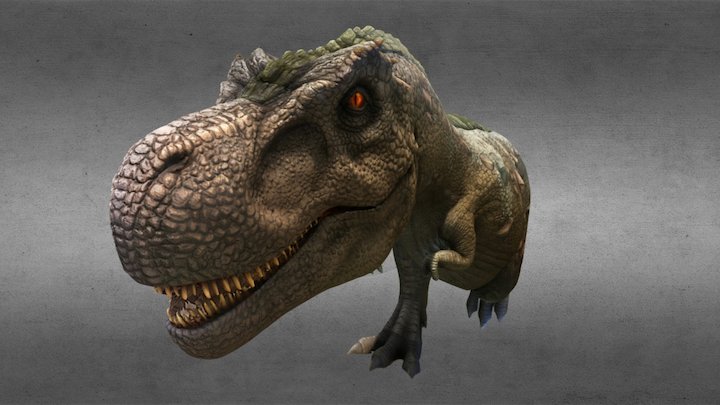 Tyrannosaur Rey 3D Model