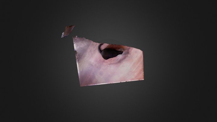Chat 3D Model