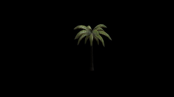 Palm-Tree 3D 3D Model