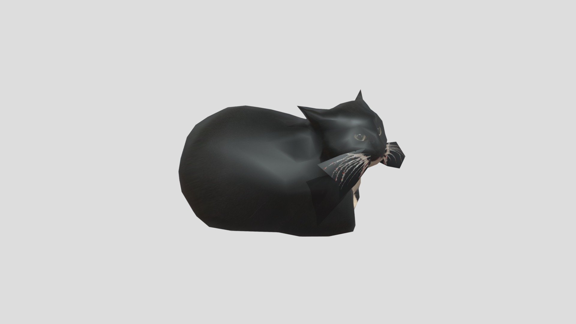 Maxwell The Cat Dance V2 Download Free 3d Model By Ktoto1234 3531fd2 Sketchfab