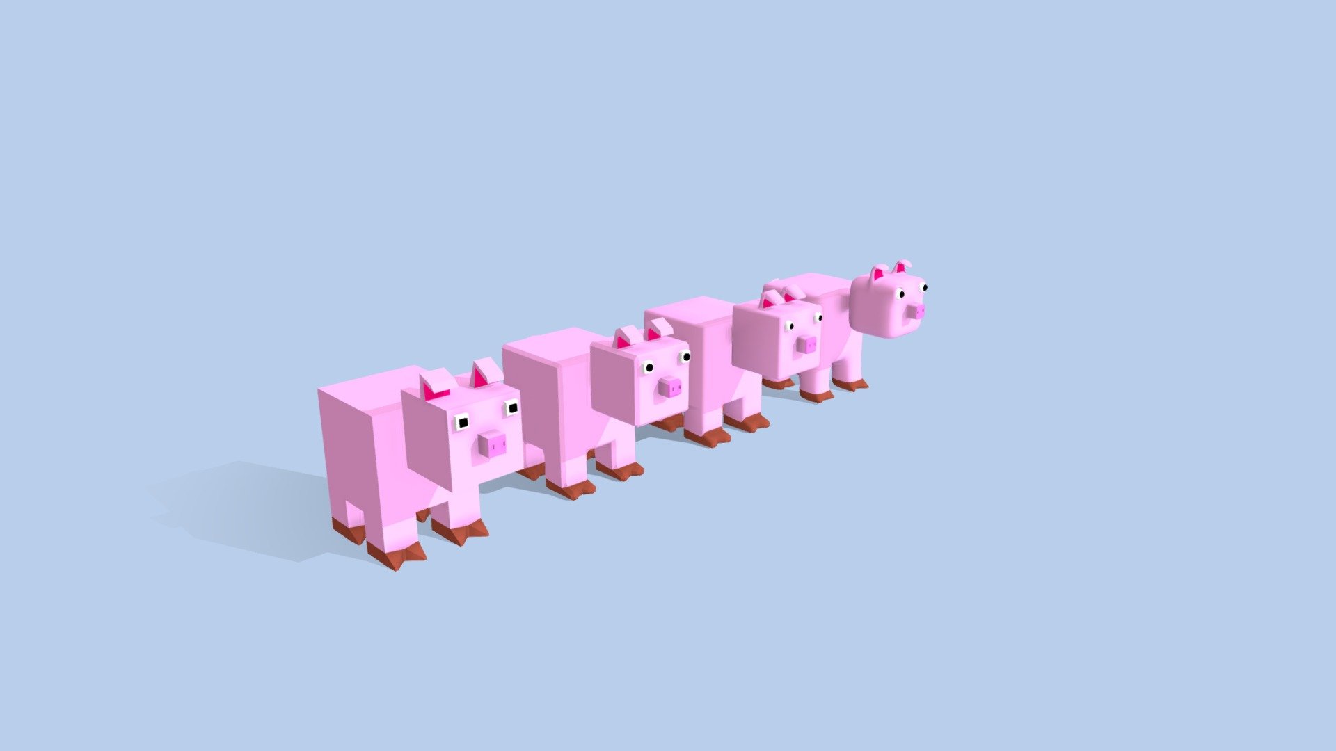Pig