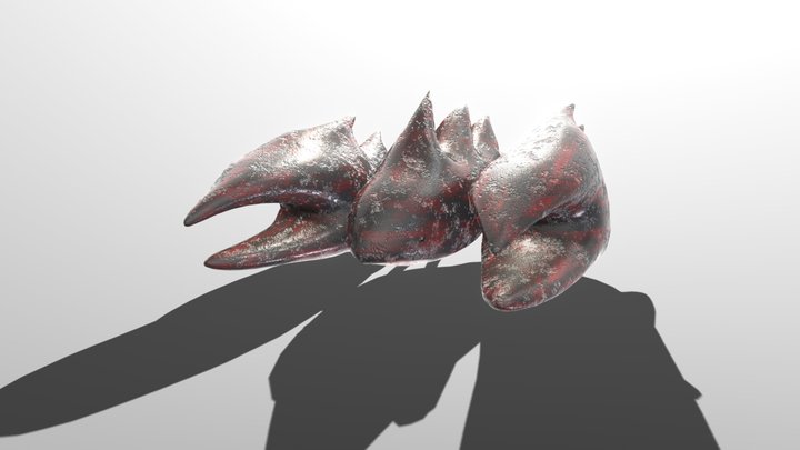 Scarab from Below 3D Model
