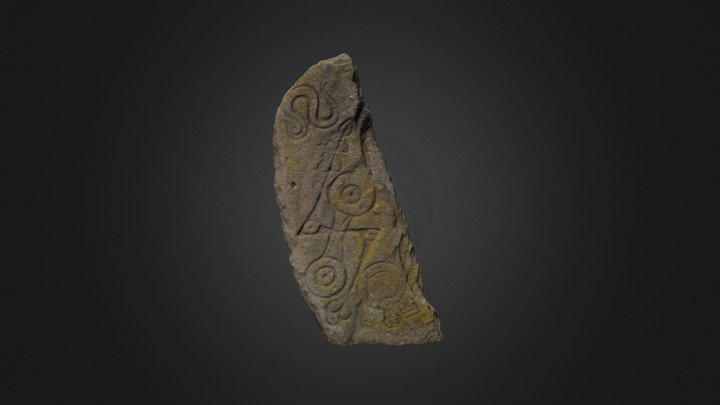 Aberlemno 1 (Serpent stone) 3D Model