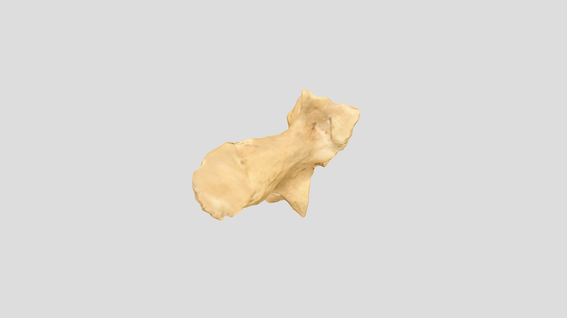 Wisad T110 Vertebra 1