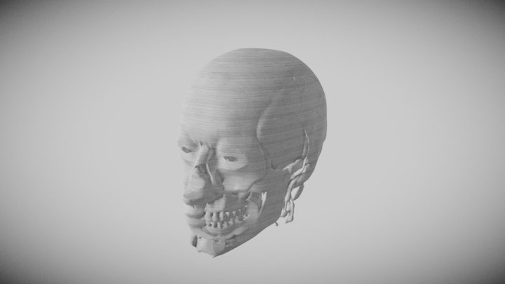 Head 3D Model
