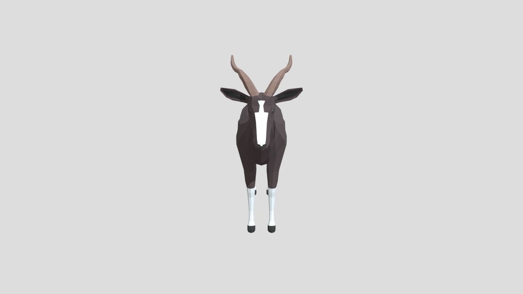 Low Poly Bontebok Antelope