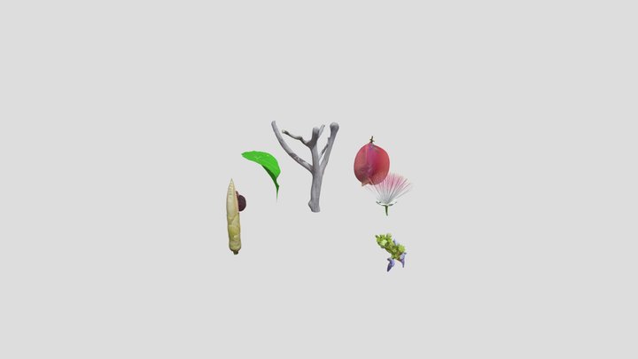 All 3D Model