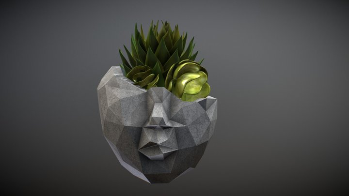Green Head 3D Model