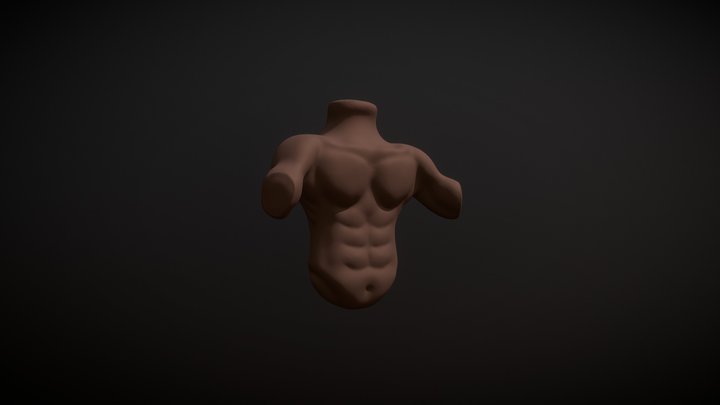 SculptJanuary18 - Day 22: Anatomy (Male Torso) 3D Model